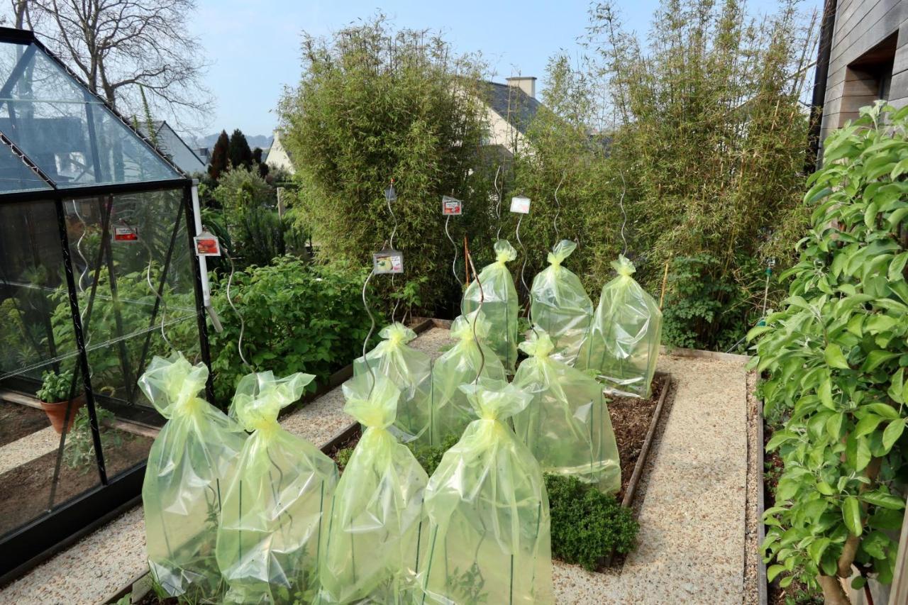 A L'Accostage Villa Trégastel Eksteriør billede
